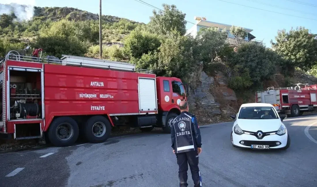 Antalya’nın gözde turizm merkezlerinden biri olan Alanya’da, makilik alanda çıkan