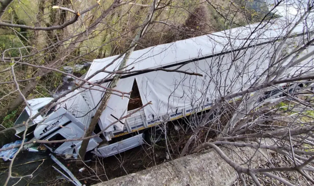 Tokat’ın Reşadiye ilçesinde sürücüsünün direksiyon hakimiyetini kaybetmesi sonucu bir tırın