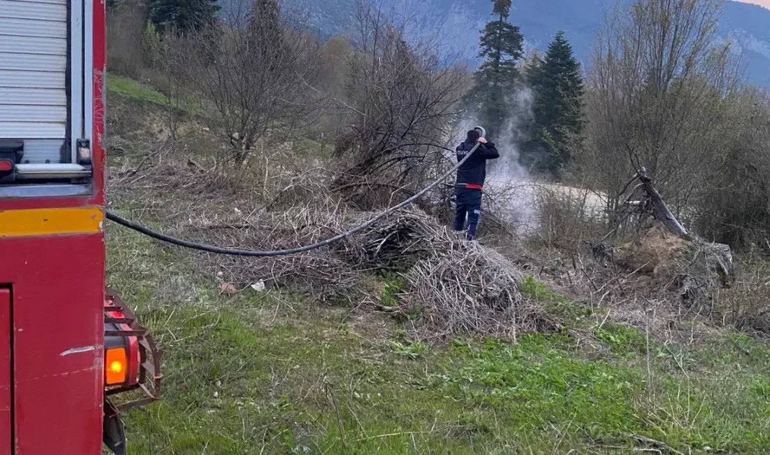 Kastamonu’nun Cide ilçesinde ormanlık alandan yükselen alevler kısa sürede paniğe