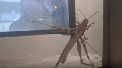 Diyarbakır’ın Silvan ilçesinde bir güvenlik kulübesine çarpan ve yaklaşık 25