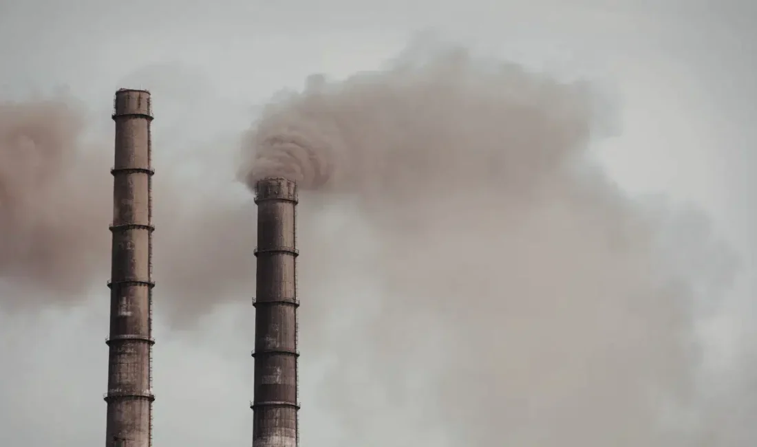 Türkiye Cumhuriyet Merkez Bankası tarafından paylaşılan Mart 2026 dönemine ait