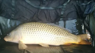 Samsun’da jandarma ekiplerinin gerçekleştirdiği titiz denetimler sonucunda, göl sularına serilen