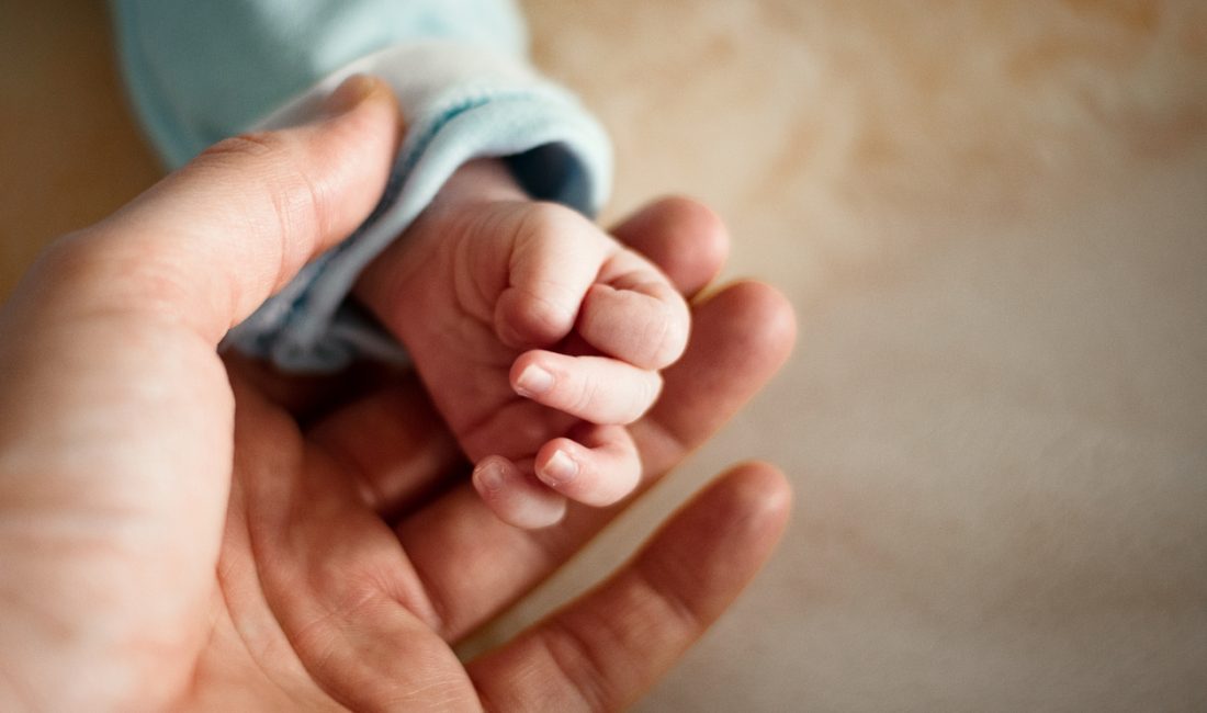 TBMM Genel Kurulu’nda kabul edilen yeni yasa teklifiyle birlikte çalışma