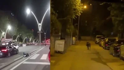 Batman’da akşam saatlerinde şehir merkezine kadar inen yaban domuzu kent