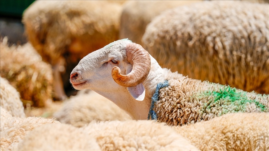 Diyanet İşleri Başkanlığı tarafından yayımlanan dini günler takvimiyle birlikte 2026