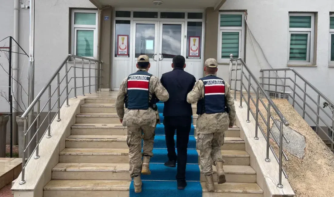 Şanlıurfa İl Jandarma Komutanlığı tarafından düzenlenen dev operasyonla hırsızlık, dolandırıcılık