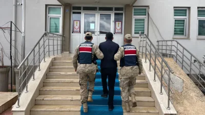 Şanlıurfa İl Jandarma Komutanlığı tarafından düzenlenen dev operasyonla hırsızlık, dolandırıcılık