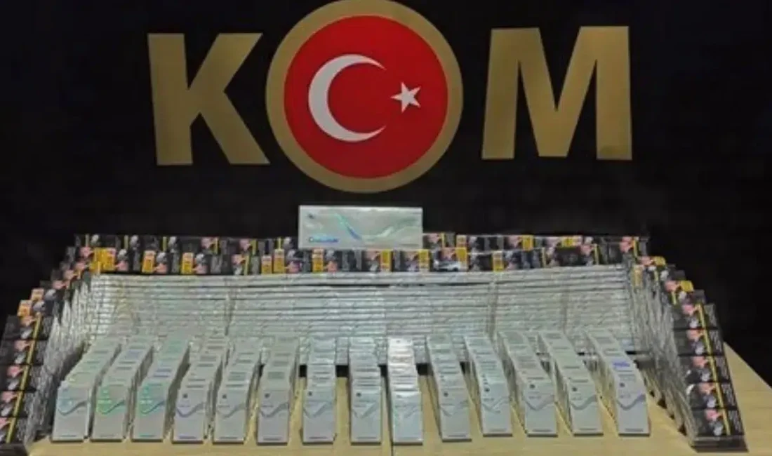 Bilecik’in Bozüyük ilçesinde emniyet güçlerinin dikkati sayesinde durdurulan bir tırda