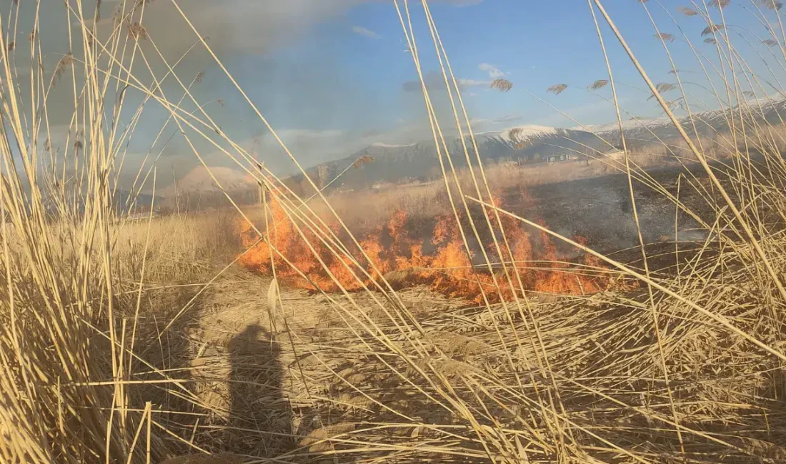 Van’ın Muradiye ilçesinde çok sayıda kuş türüne ev sahipliği yapan
