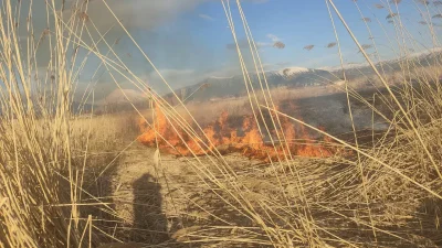 Van’ın Muradiye ilçesinde çok sayıda kuş türüne ev sahipliği yapan