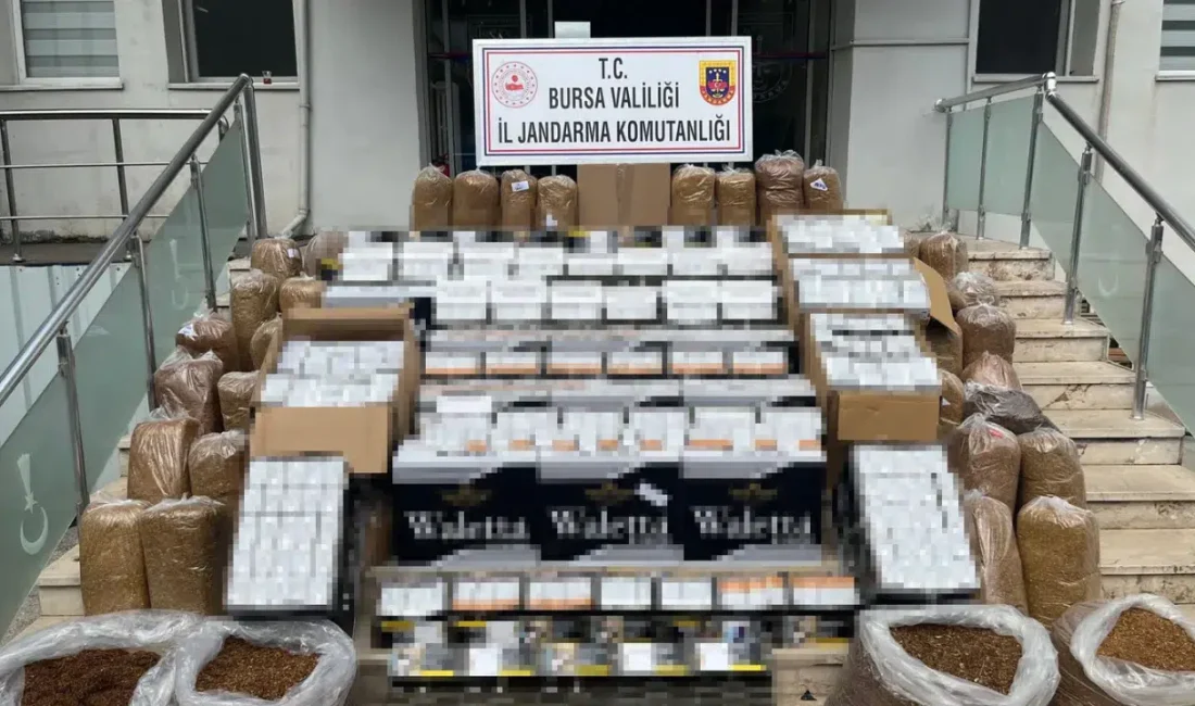 Bursa’nın Gemlik ilçesinde emniyet güçleri tarafından düzenlenen kaçak tütün ve
