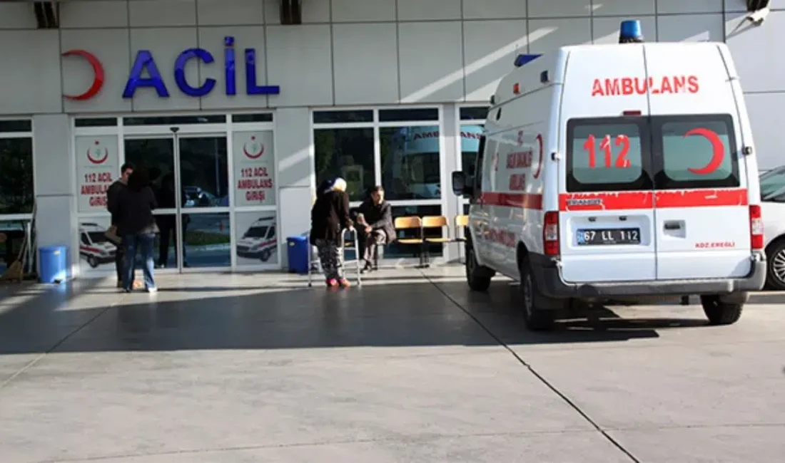 Bursa’nın İnegöl ilçesinde bahçede odun taşıdığı sırada akrep tarafından sokulan