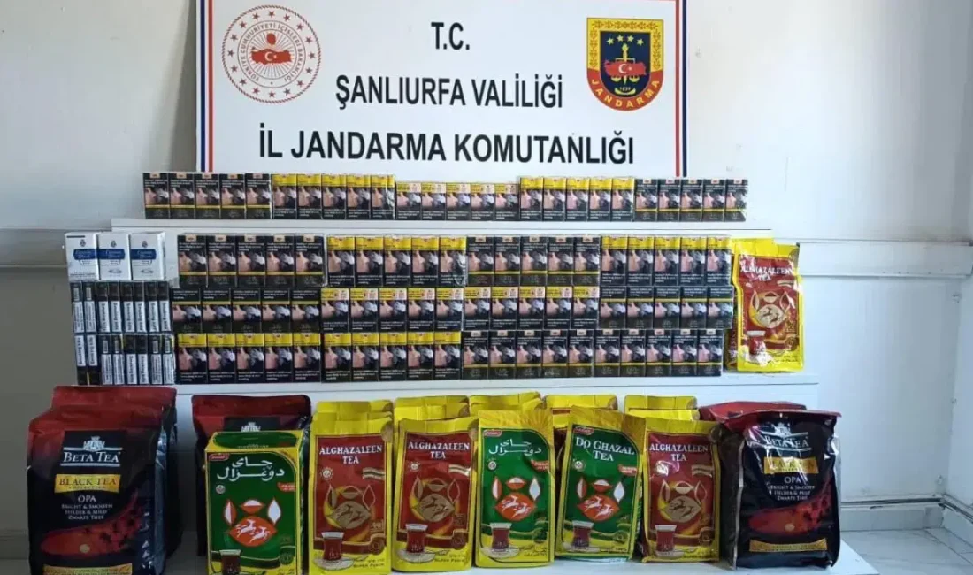 Şanlıurfa’nın Birecik ve Viranşehir ilçelerinde eş zamanlı olarak gerçekleştirilen gümrük