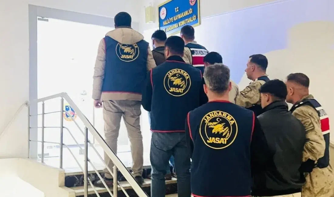 Şanlıurfa’nın Haliliye ilçesinde bir bağ evinden 300 bin lira değerinde