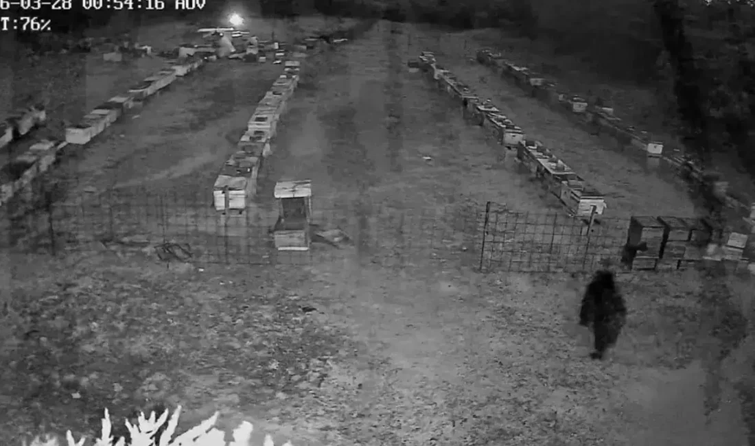 Bursa Uludağ’ın eteklerinde yer alan bir köyde gece yarısı ortaya