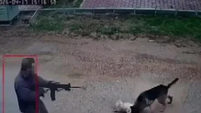 Antalya’nın Kepez ilçesinde sokak ortasında kavga eden köpeklerin arasına pompalı