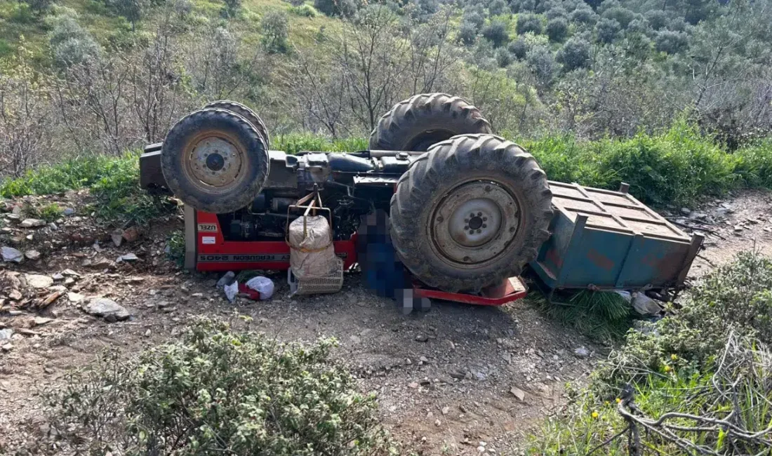Manisa’nın Turgutlu ilçesinde eğimli arazide kontrolden çıkarak devrilen traktörün altında