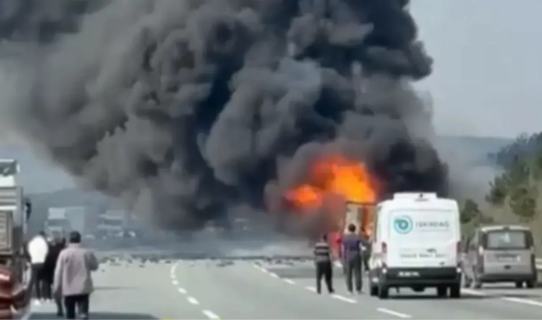 Kuzey Marmara Otoyolu’nun Çatalca mevkisinde seyir halindeki bir tırda çıkan