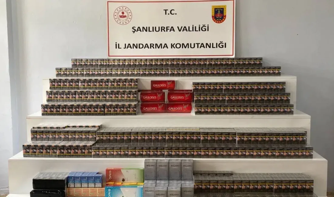 Şanlıurfa’nın Viranşehir ilçesinde jandarma ekipleri tarafından gerçekleştirilen geniş kapsamlı operasyonda,