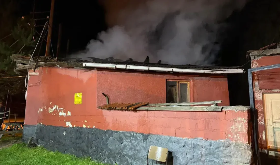 Bilecik’in Bozüyük ilçesinde yaşayan Nazmiye E., evinden yükselen dumanları ve