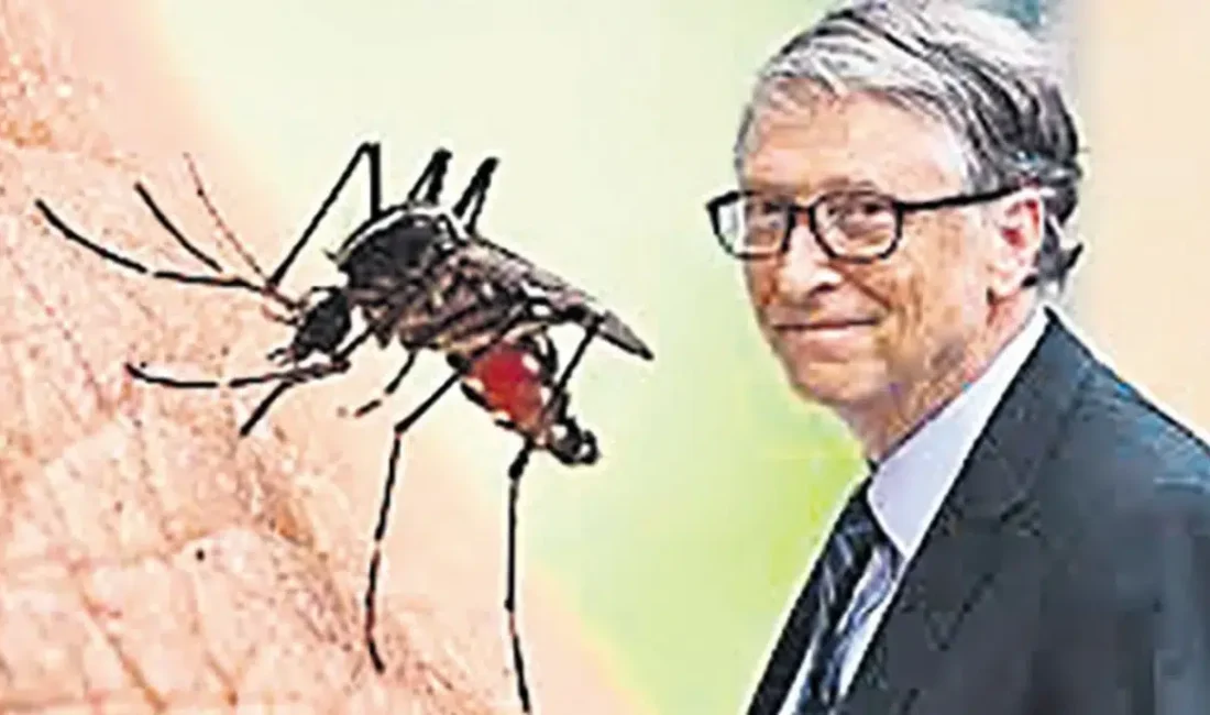 Sosyal medyada çığ gibi büyüyen Bill Gates iddiaları kırmızı et