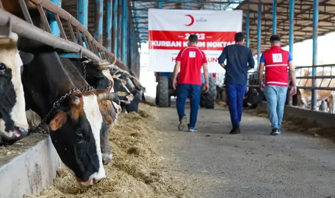 Kızılay tarafından merakla beklenen 2026 yılı kurban vekalet bedelleri resmi