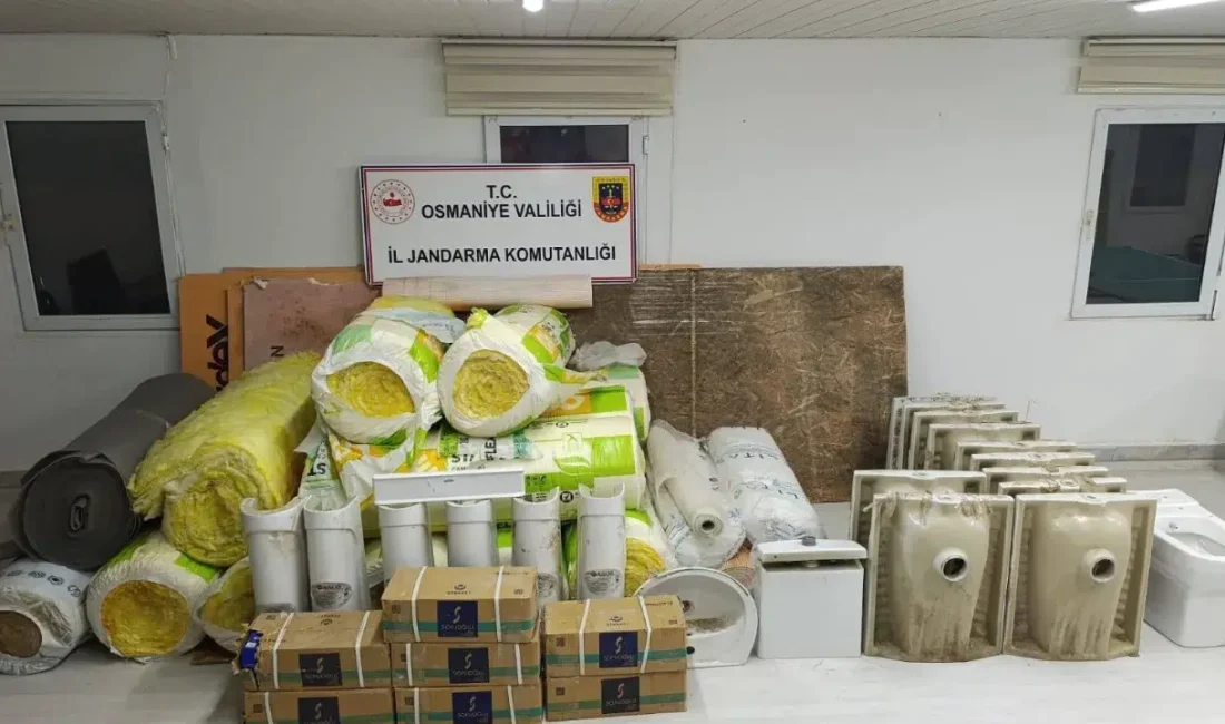Osmaniye’de köy evlerini hedef alarak piyasa değeri yaklaşık 11 milyon
