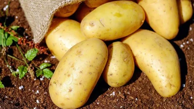 Küresel gıda piyasalarında deprem etkisi yaratan patates fiyatlarındaki yüzde 700’lük
