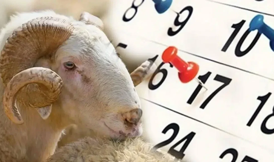 Dünya genelinde her yıl kutlanan ve aile bağlarının önemine vurgu