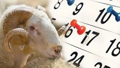 Dünya genelinde her yıl kutlanan ve aile bağlarının önemine vurgu