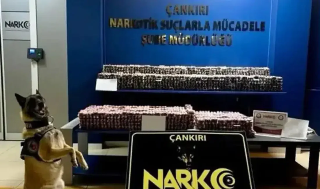 Çankırı’da narkotik polisleri tarafından düzenlenen nefes kesen operasyonda, piyasa değeri