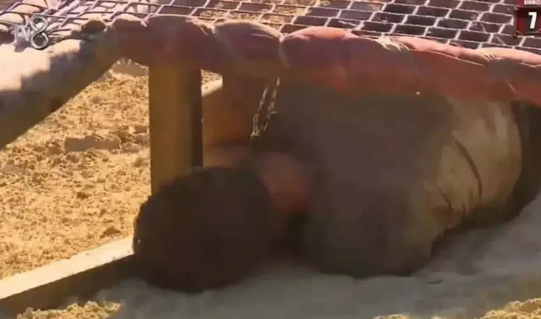 Survivor hayranları ekran başına kilitlendi Barış Murat Yağcı elendi mi