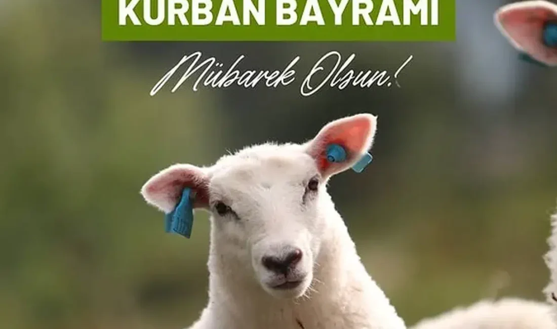 Kurban Bayramı coşkusu tüm yurdu sararken, sevdiklerine en samimi, anlamlı