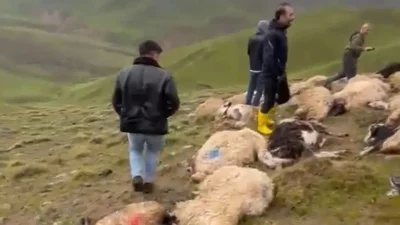 Van’ın Çaldıran ilçesinde meydana gelen ani hava muhalefeti, hayvancılıkla geçinen