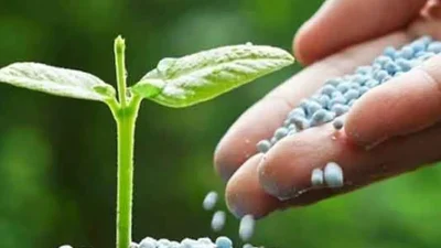 Rusya hükümeti iç piyasadaki tarımsal üretimi güvence altına almak ve