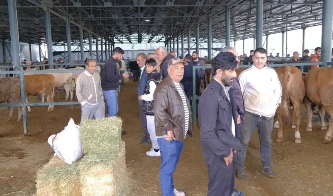 Kurban Bayramı’na sayılı günler kala Eskişehir’deki kurban pazarlarında hareketlilik zirve