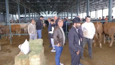 Kurban Bayramı’na sayılı günler kala Eskişehir’deki kurban pazarlarında hareketlilik zirve