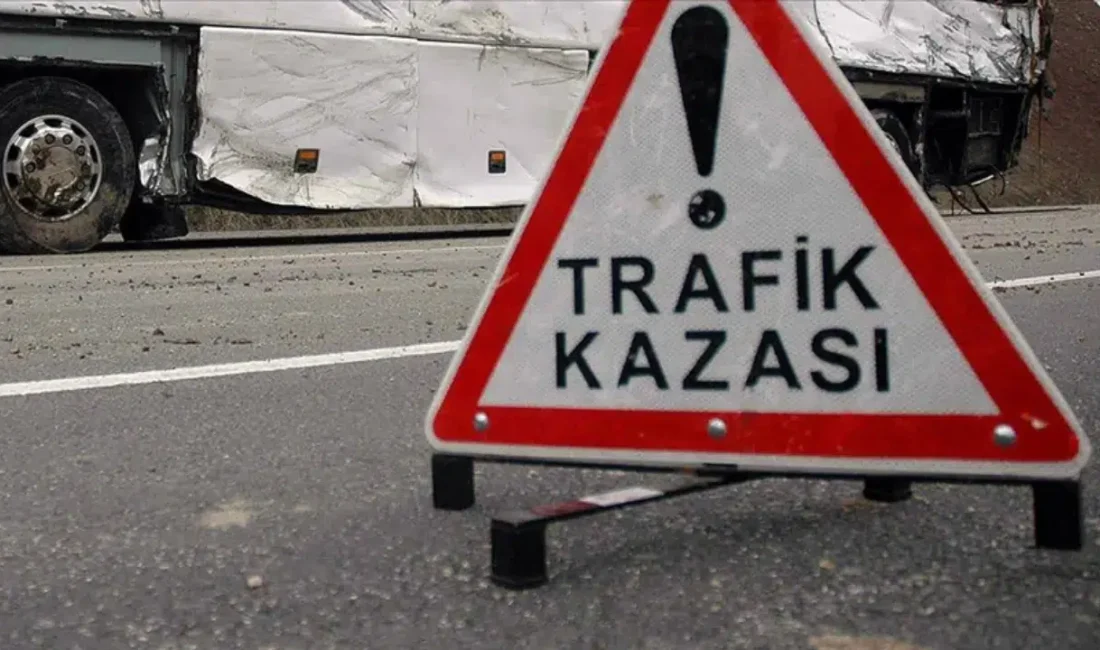 Afyonkarahisar’da seyir halindeki bir otomobilin yol kenarında bulunan aydınlatma direğine