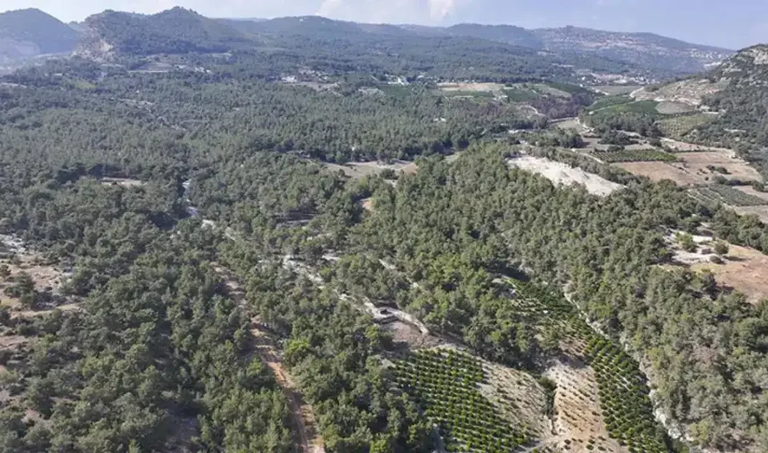 Mersin’de yaz aylarının gelmesiyle birlikte yükselen hava sıcaklıkları ve şiddetli
