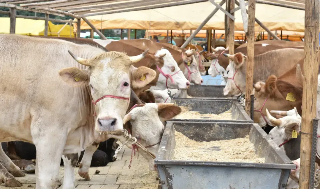 Kurban Bayramı yaklaşırken Trabzon’un kalbi Ortahisar’da ibadetlerini yerine getirmek isteyen