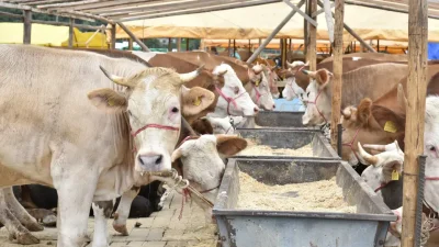 Kurban Bayramı yaklaşırken Trabzon’un kalbi Ortahisar’da ibadetlerini yerine getirmek isteyen