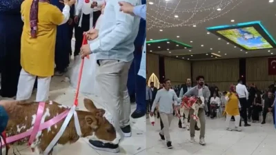 Osmaniye’nin Düziçi ilçesinde gerçekleşen düğün töreninde, altın fiyatlarının yükselmesiyle birlikte