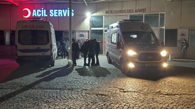 Kars’ın Arpaçay ilçesine bağlı Carcıoğlu köyünde dehşet anları yaşandı. Evdeki