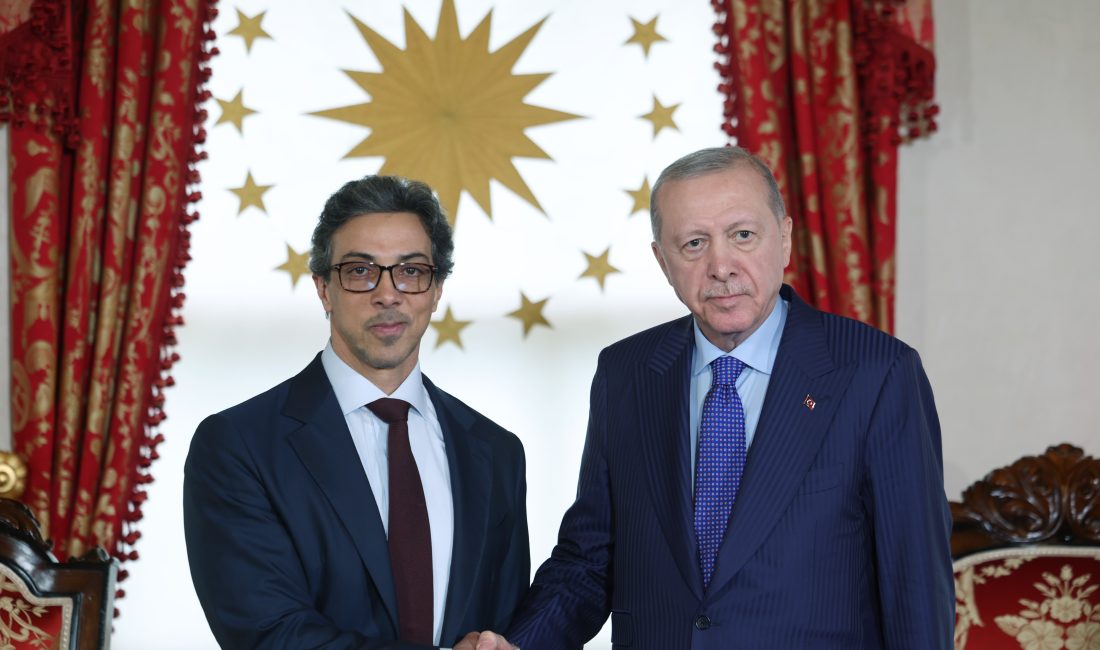 Cumhurbaşkanı Recep Tayyip Erdoğan, Birleşik Arap Emirlikleri Başkan Yardımcısı Şeyh