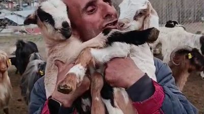 Erzurum’un Tortum ilçesinde hayvancılıkla uğraşan ve sosyal medyada paylaştığı doğal