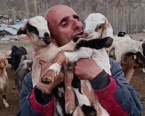 Erzurum’un Tortum ilçesinde hayvancılıkla uğraşan ve sosyal medyada paylaştığı doğal