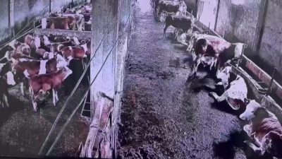 Sivas’ın Gürün ilçesinde meydana gelen 2.9 büyüklüğündeki sarsıntı vatandaşlar tarafından