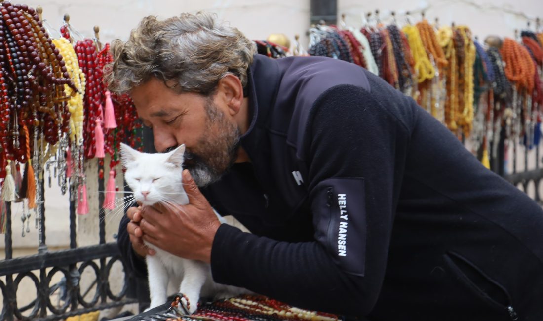 Sivas’ta yaşanan olayda, ölen yavrusunu ağzında taşıyarak kendisini besleyen hayırseverin
