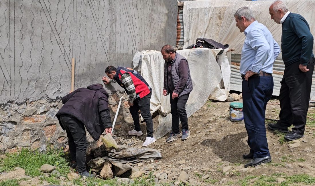 Muş’un Hasköy ilçesinde bir eve girmek üzereyken fark edilen ve