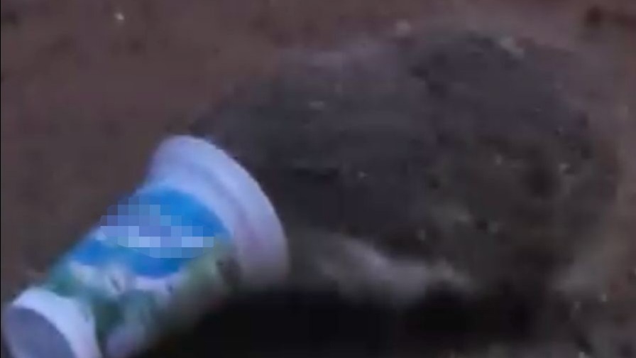 Eskişehir’de gece saatlerinde sokakta yiyecek ararken kafasını plastik ayran kutusuna